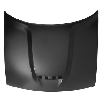 Replace® - Hood Panel (Standard Line)
