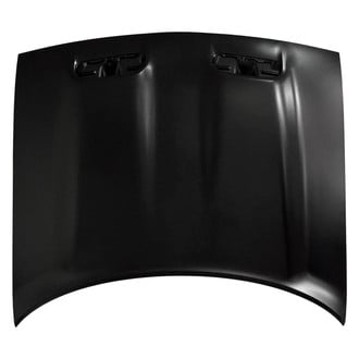 Replace® - Hood Panel (Standard Line)
