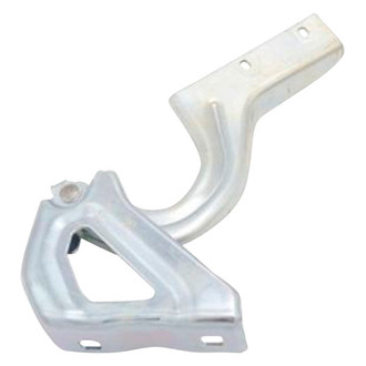 Replace® - Hood Hinges