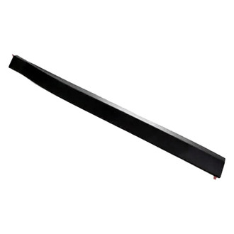 Replace® - Front Driver Side Door Molding (Standard Line)