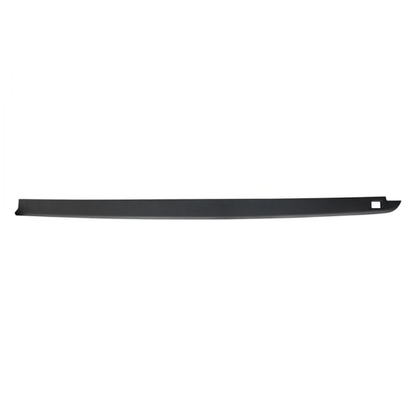 Replace® - Driver Side Bed Side Molding