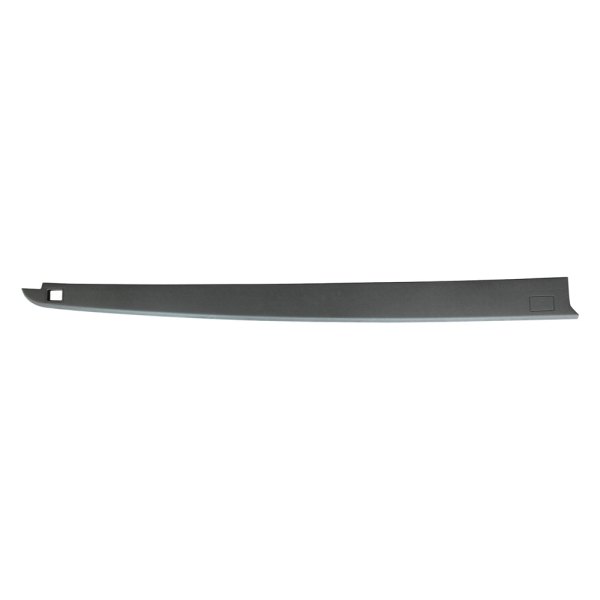 Replace® - Passenger Side Bed Side Molding
