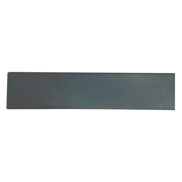 Replace® - Back Passenger Side Lower Door Molding