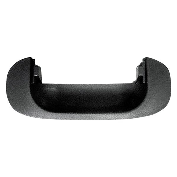 Replace® CH1916101 - Tailgate Handle Bezel (Standard Line)