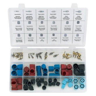 Replace® - A/C System Valve Core and Cap Kit