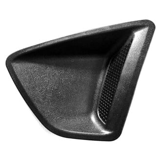 Replace® - Front Driver Side Fog Light Cover (Standard Line)