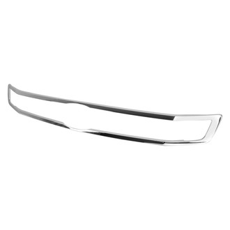 Replace® - Outer Grille Molding (CAPA Certified)