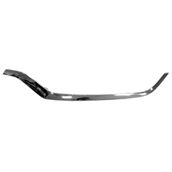 Replace® - Driver Side Lower Grille Molding