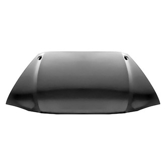 Replace® - Hood Panel (Value Line)