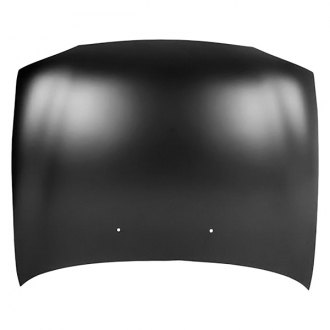 Replace® - Hood Panel