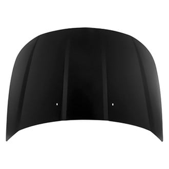 Replace® - Hood Panel (Platinum Plus)