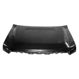 Replace® - Hood Panel (Platinum Plus)