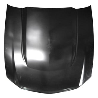 Replace® - Hood Panel (Standard Line)