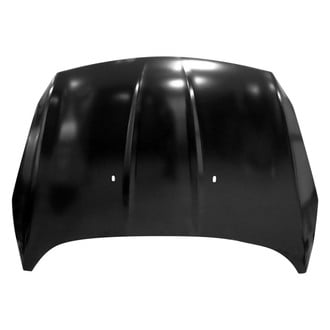 Replace® - Hood Panel (Platinum Plus)