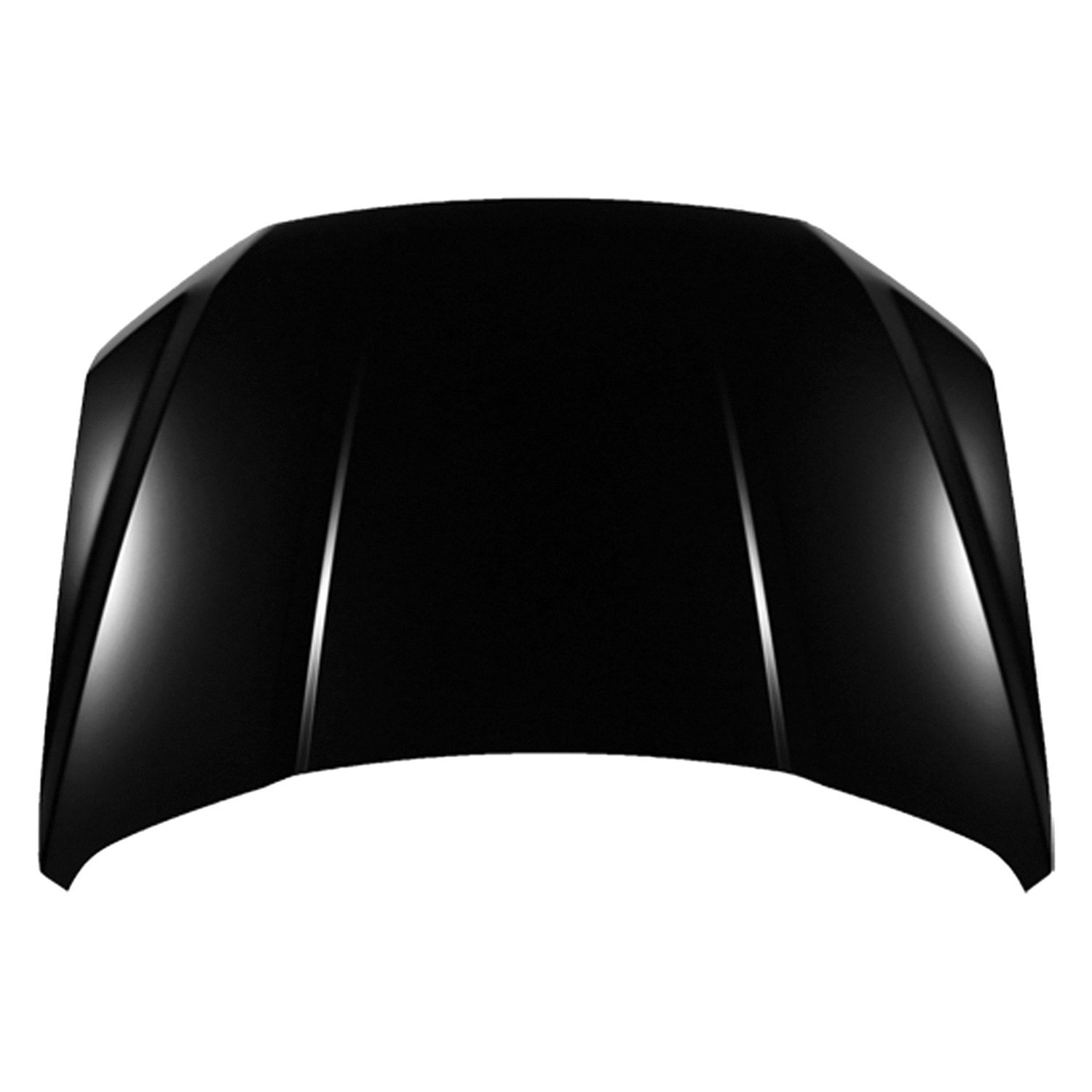 Replace® Fo1230307pp - Hood Panel (platinum Plus)