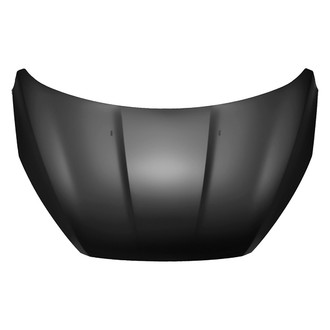 Replace® - Hood Panel (Platinum Plus)