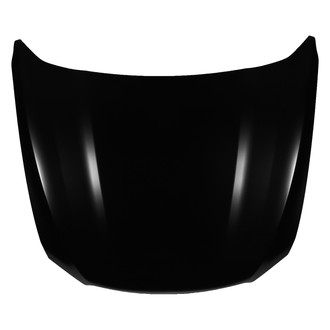 Replace® - Hood Panel (Platinum Plus)