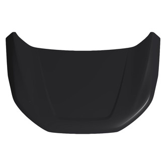 Replace® - Hood Panels