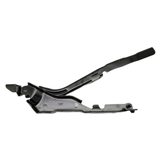 Replace® - Hood Hinges