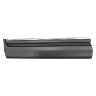 Replace® - Front Driver Side Door Molding (Standard Line)