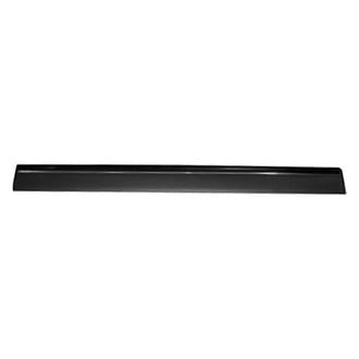Replace® - Front Passenger Side Door Molding (Standard Line)