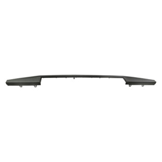 Replace® - Outer Tailgate Molding (Standard Line)