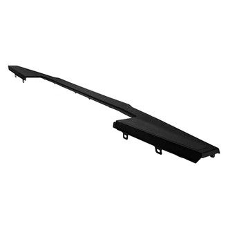 Replace® - Outer Tailgate Molding (Standard Line)