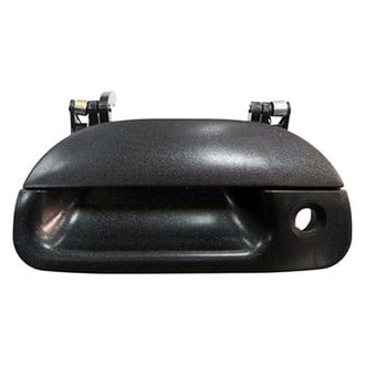 Replace® - Tailgate Handle (Standard Line)