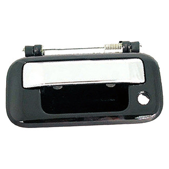 Replace® - Tailgate Handle (Standard Line)