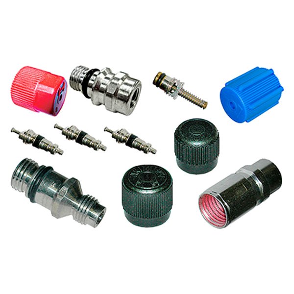 Replace® - A/C System Valve Core and Cap Kit
