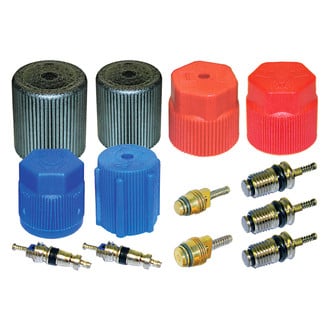 Replace® - A/C System Valve Core and Cap Kit