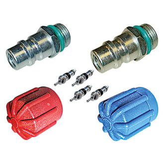 Replace® - A/C System Valve Core and Cap Kit