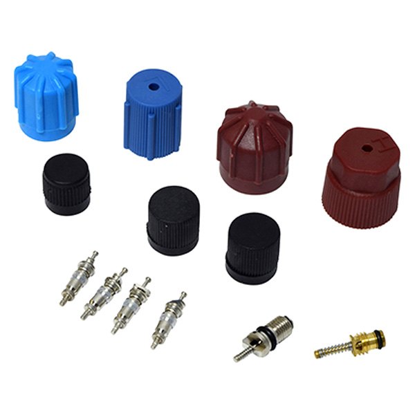 Replace® - A/C System Valve Core and Cap Kit