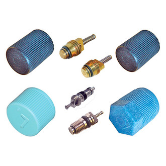 Replace® - A/C System Valve Core and Cap Kit
