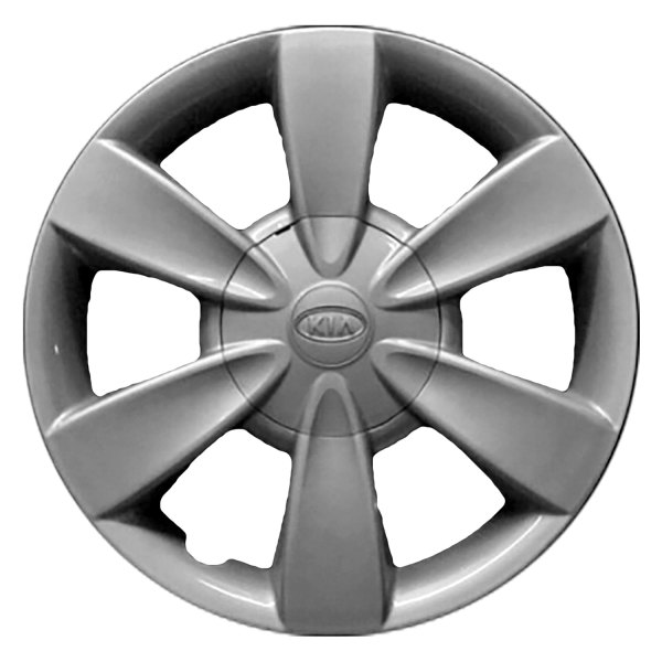 Replace® - 14" 6 Spokes Silver Wheel Cover