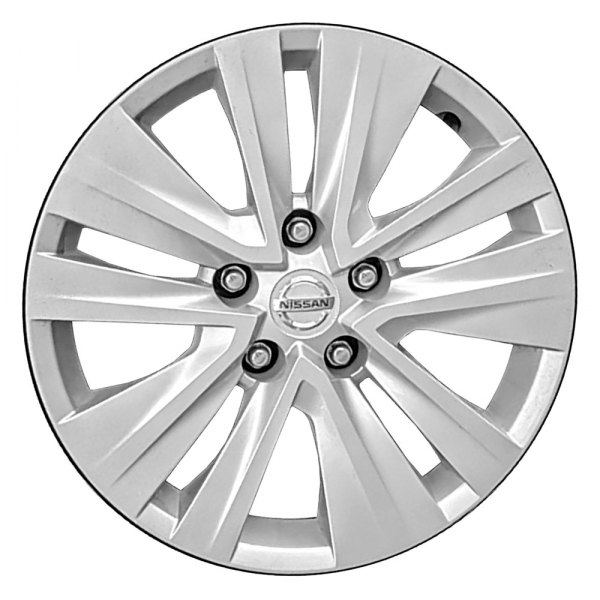 Replace® - 16" 10 Spokes Silver Wheel Cover