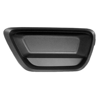 Replace® - Front Driver Side Fog Light Cover (Standard Line)