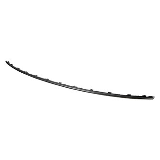 Replace® - Rear Bumper Cover Molding (Standard Line)
