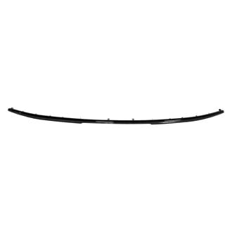 Replace® - Rear Bumper Molding (Standard Line)