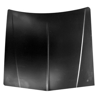 Replace® - Hood Panel (Standard Line)