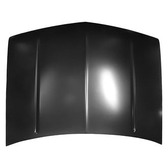 Replace® - Hood Panel (Platinum Plus)