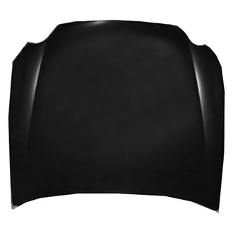 Replace® - Hood Panel (Value Line)
