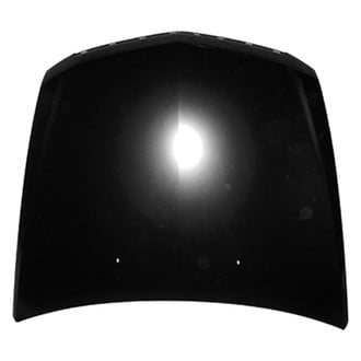 Replace® - Hood Panel (Platinum Plus)