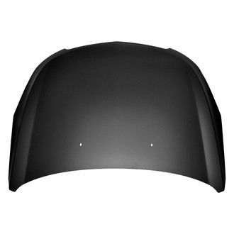 Replace® - Hood Panel (Platinum Plus)