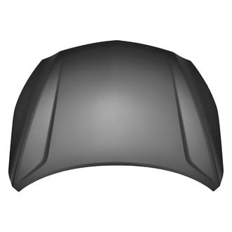 Replace® - Hood Panel (Platinum Plus)