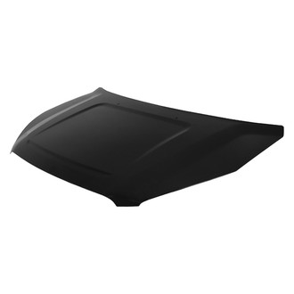 Replace® - Hood Panel (Platinum Plus)