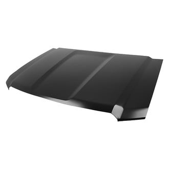 Replace® - Hood Panel (Platinum Plus)