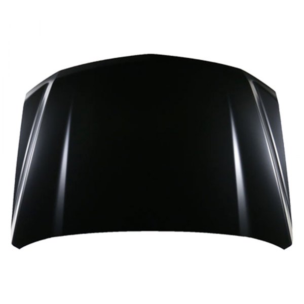 Replace® - Hood Panel