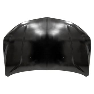 Replace® - Hood Panels