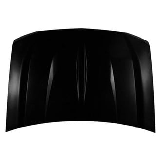 Replace® - Hood Panel (Standard Line)